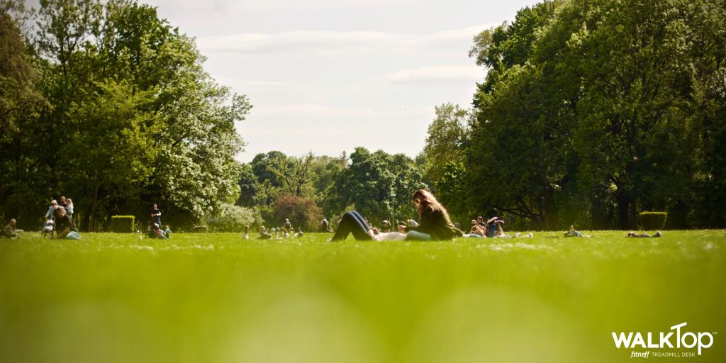 WALKTop_Fitneff's tweet photo. It's a beautiful sunny day in Calgary! A great day for a walk in the park don't you think? #walkmore #WalkTop #walkinthepark https://t.co/nuvBzfKEFj