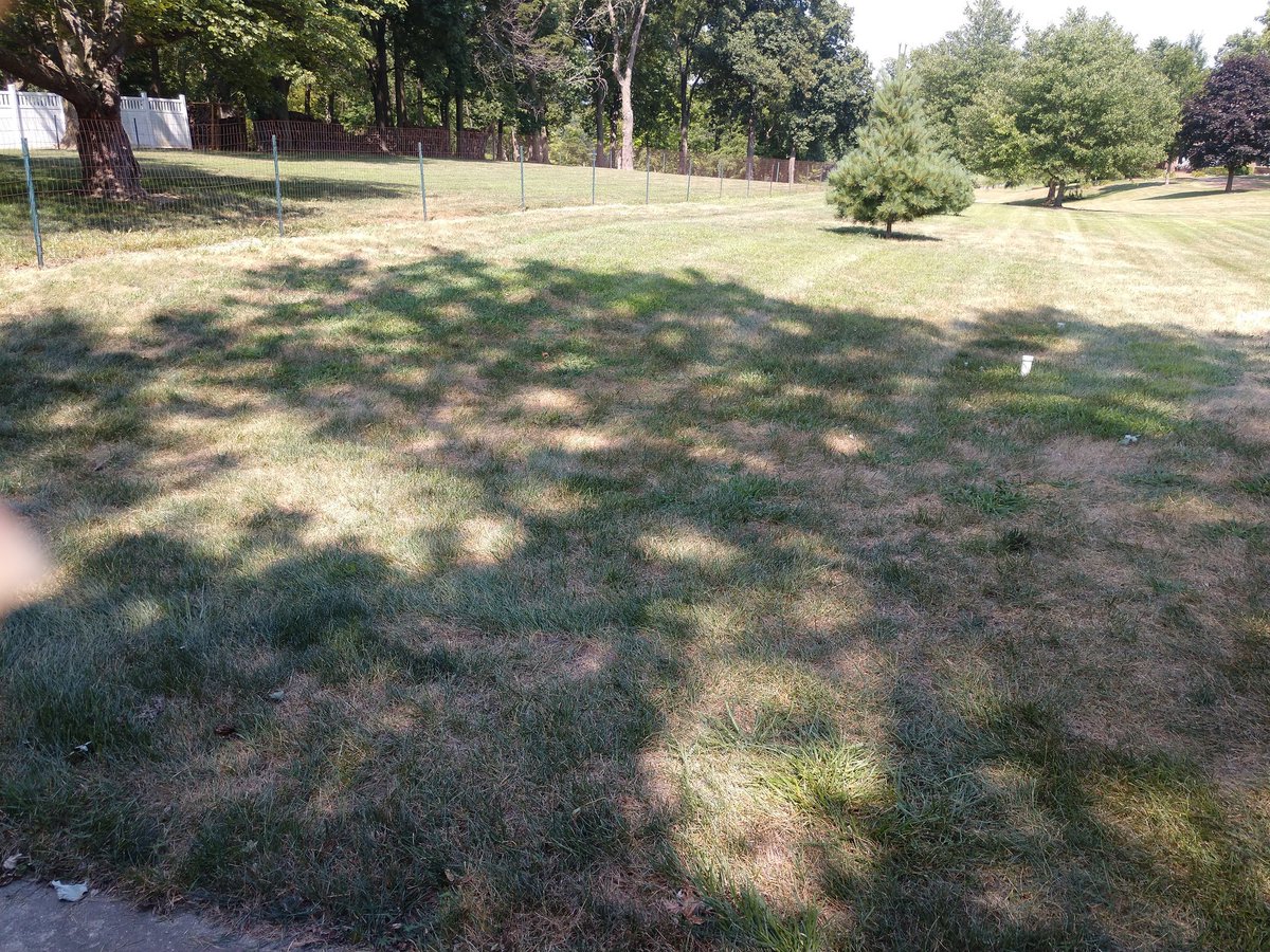 BradPeel3's tweet photo. The annual " burnt up clean up " came a little early this year.
#mow19 #parched
@sloanimplement
@JohnDeere
#NotAndyClean https://t.co/vuzmng35HE
