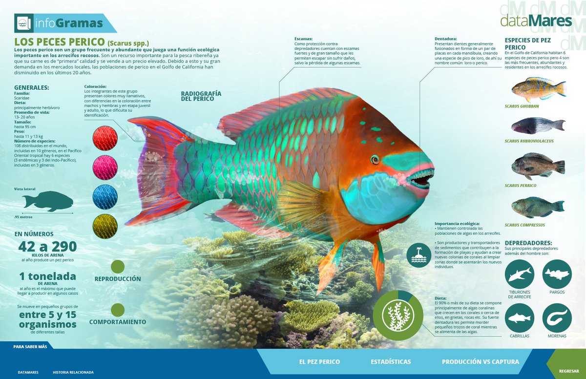 Mero Adventure tweet media