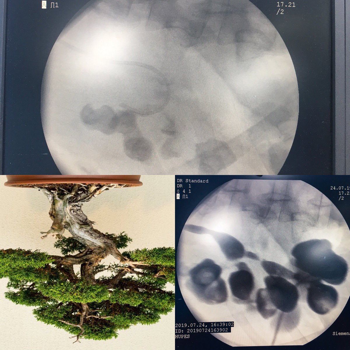 Fábio Sepúlveda tweet media