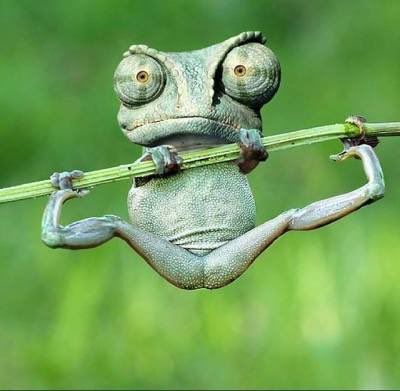 I think I’ve done myself a mischief.