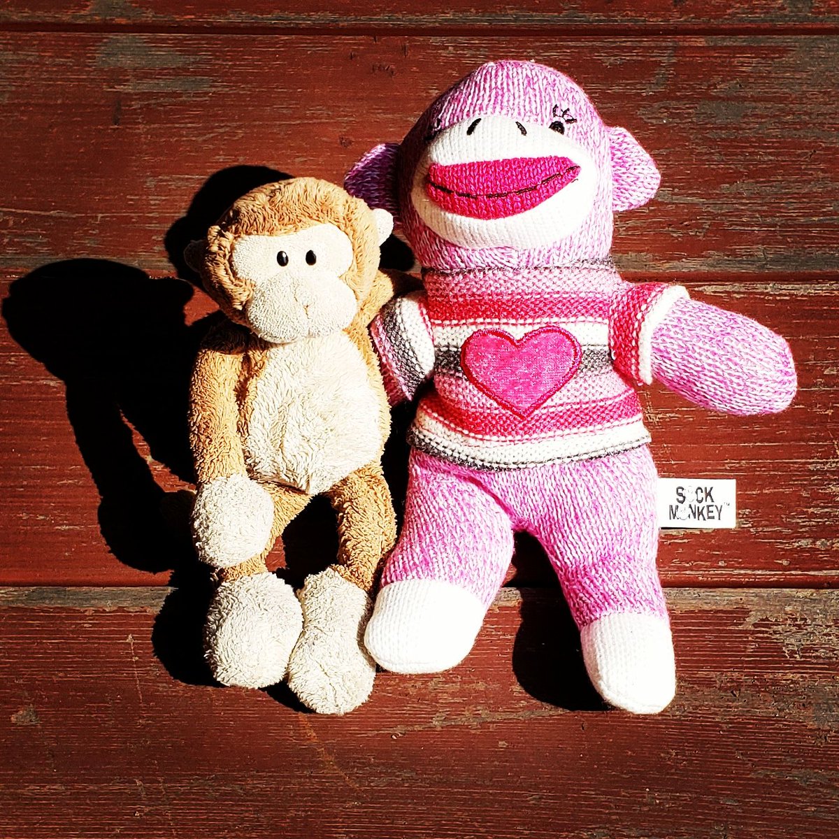 TravelingMocha's tweet photo. Meet J. Pink! She's the latest member of Mocha's Minions. Thank you, @authorjpiperlee, for connecting us during SDCC last week! #MonkeyBusiness #SDCC #monkeyfriend #minion https://t.co/EalEQhegyP