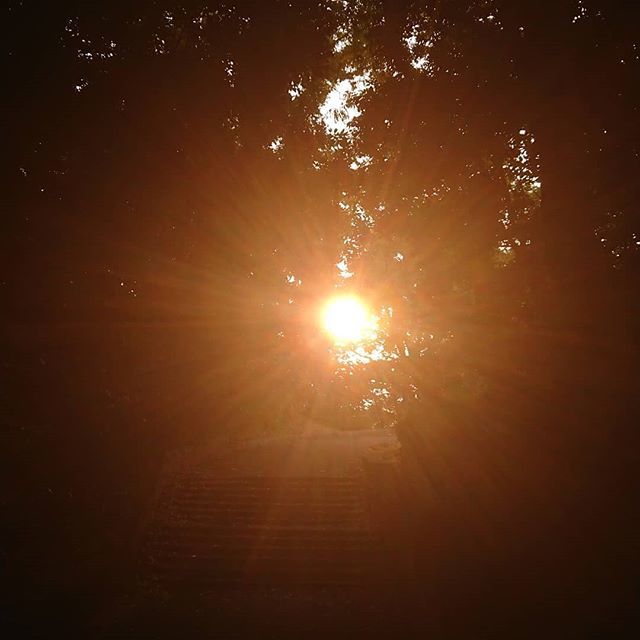 木陰の隙間からあさひさん
#朝 #朝日 #朝焼け #夜明け #日の出 #太陽 #イマソラ
#sunshine #sunlight #sunrise #sunrise_pics #sunrise_sunset_aroundworld #sungoesup #sunrising #risingsun #morning #twilight #dawn #daybreak #sky #skylovers #bluesky #skyviewers #観音崎