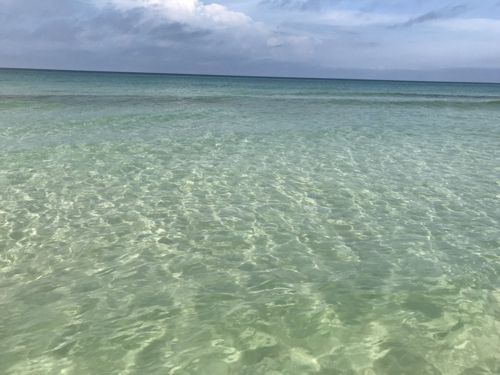JuneGrassReport's tweet photo. Seagrove https://t.co/0wQhH4A98c https://t.co/s6rL8cChL9