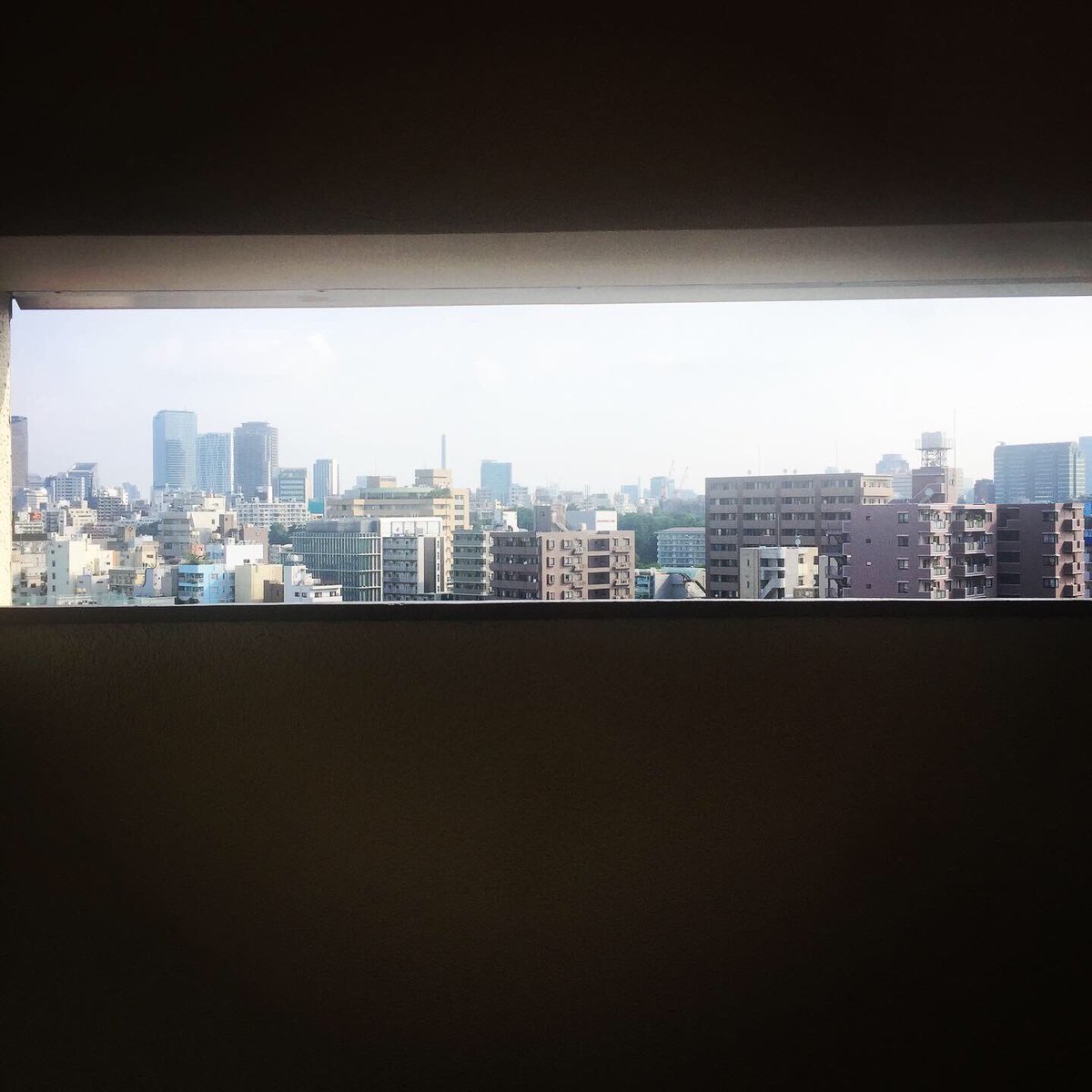 RuiHashimoto's tweet photo. おはようございます!朝ランへ!夏本番!今週末からのRIJF2019へ向けての体力作りも佳境!
#サウシュー #stingrun #run #running #adidas #朝ラン #ランニング #ラン #adidasrunning #adidasultraboost #streetrunning #アディダス #tokyo #tokyorunning #rijf2019 #rijf
https://t.co/WPTsX1dtG2 https://t.co/p4Lq8tYPC0