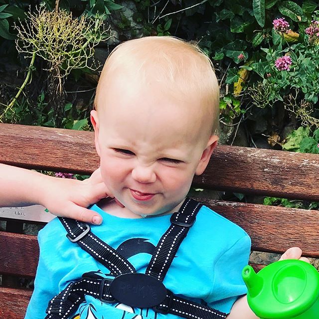 pmriley21's tweet photo. The face of the “just started being tiggled”

#myboy #littlemonkey #brothersister https://t.co/VzrjKv4JbW