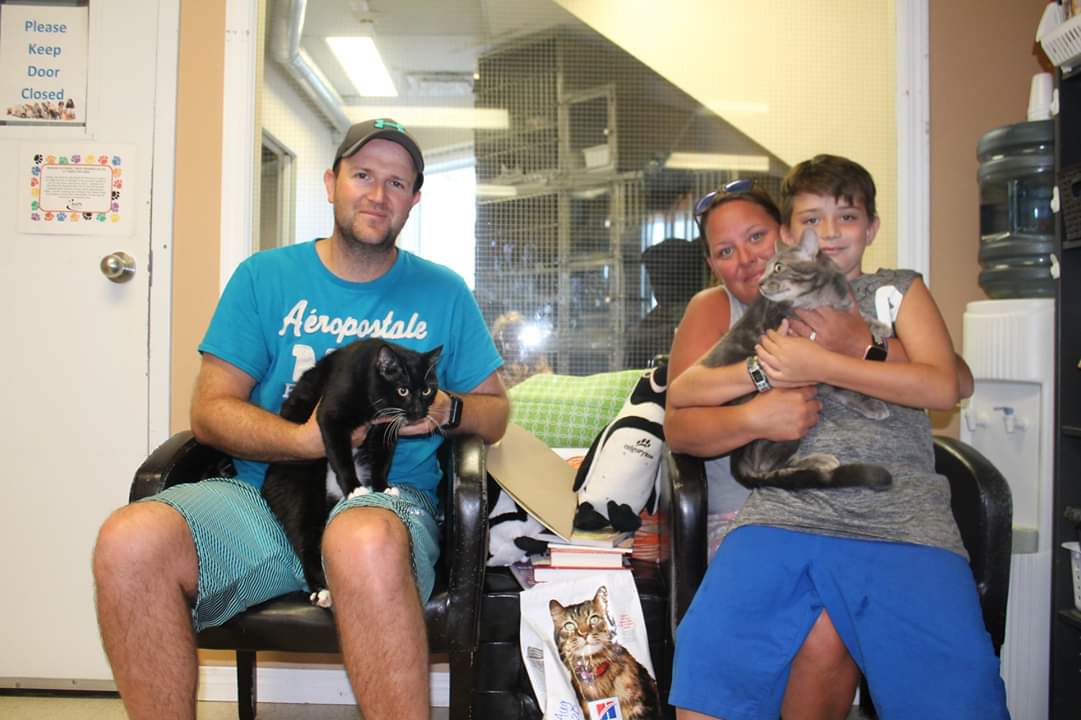 BAPSBrooksAB's tweet photo. WOOO! Tom Hanks and Twitch are heading home together 😁
Thanks for choosing #BAPSBrooks
Anyone looking for a new buddy or two or three? Our summer adoption fair is on until August 15! #OptToAdopt #AdoptDontShop #adoptacat #sheltercat https://t.co/jXdPwZv7zA
