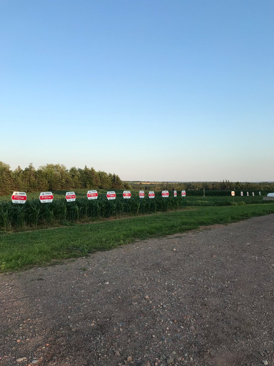 Pioneer Demo plot all ready too go for corn and beans. So many new hybrids/varieties to look at and compare. Love having it in my front yard that’s for sure.