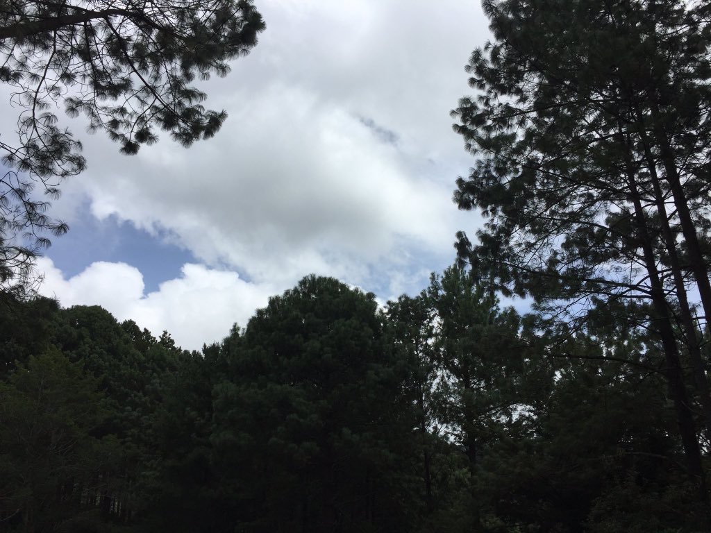 MauriOrellanaSV's tweet photo. “Voy a extrañar la belleza de #ElSalvador y la hospitalidad natural de este pueblo”, escribe en su twitter @USAmbSV y comparte fotos del recorrido por #Miramundo, Chalatenango. https://t.co/AMvfY2VW6l