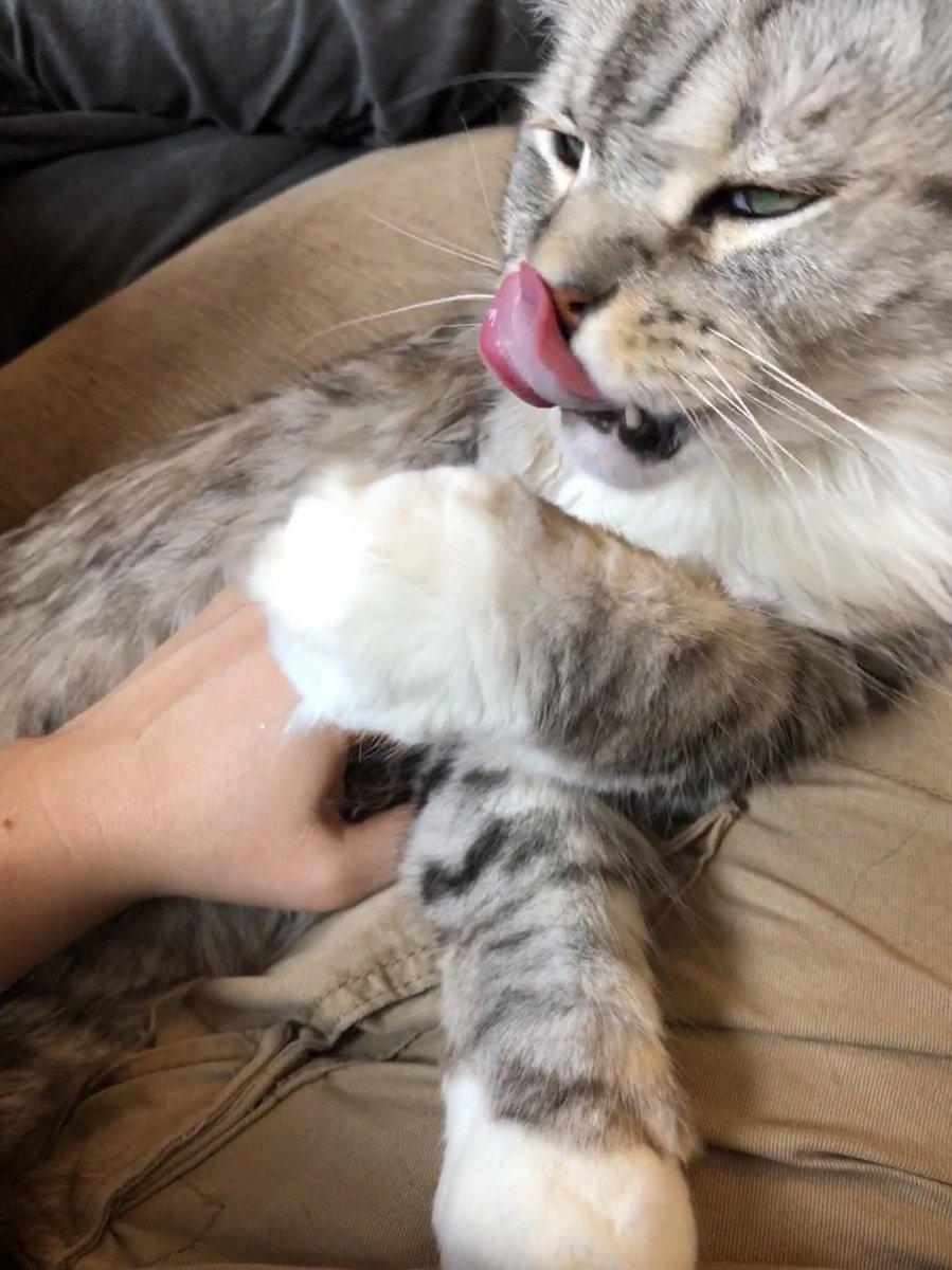 bigfloofs's tweet photo. My dude. https://t.co/W8tjem6imf