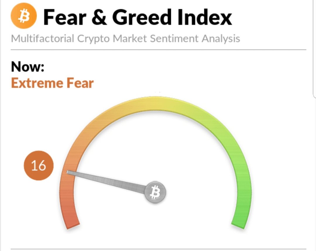 gauge crypto market sentiment gauge crypto market sentiment