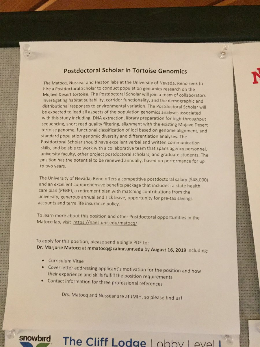 Do you have a #PhD in #Genomics? Are you looking for a #postdoc working on #tortoisegenomics? Join our lab at @unevadareno !! #molecularecology #herpetology