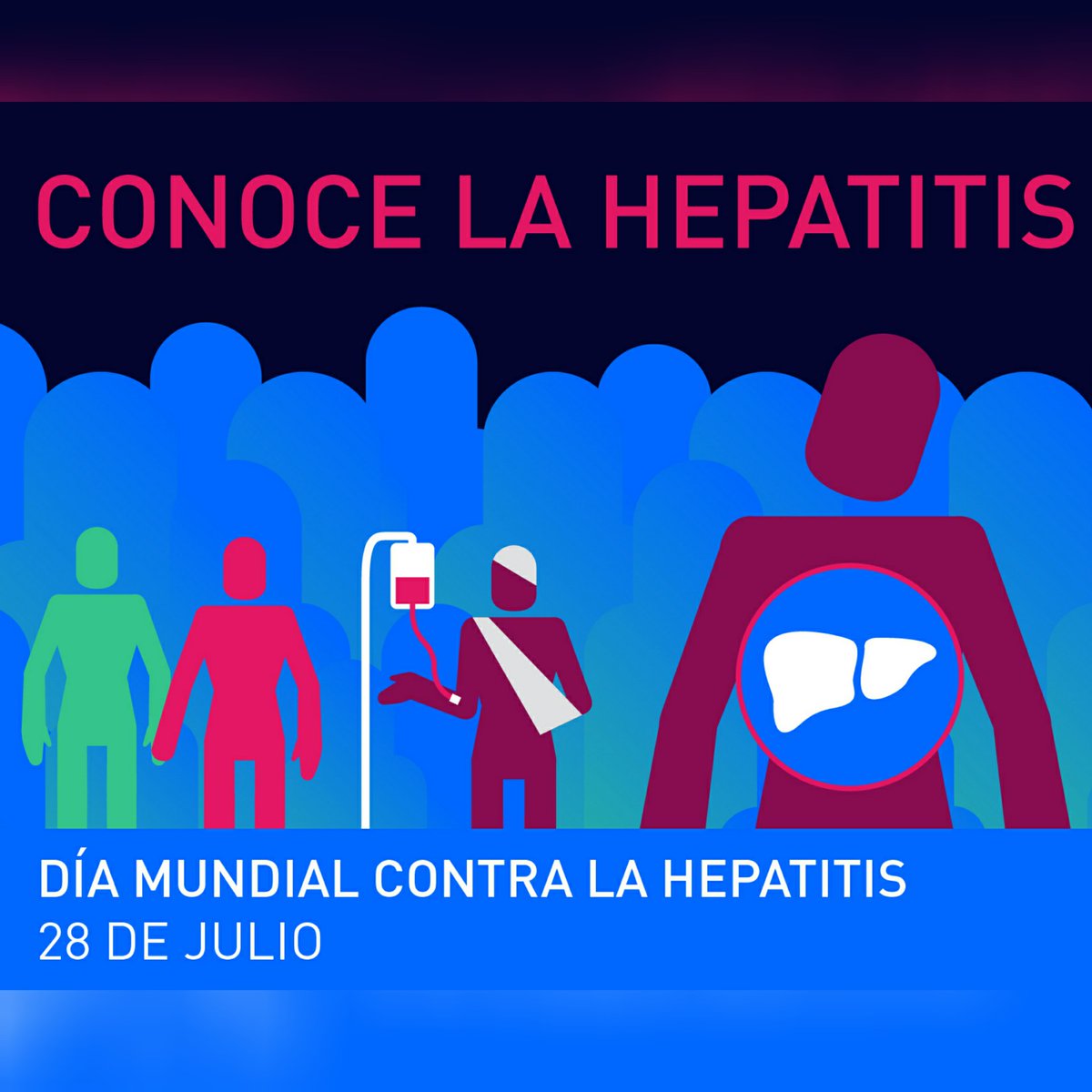 DrSussmann's tweet photo. #Hoy es el #DiaMundial contra la #Hepatitis 2019 👉 El tema es invertir en la eliminación de las hepatitis.

Abro hilo para comentarles algunos tips importantes sobre esta enfermedad compartidos por la #OMS: 👇 https://t.co/3HHB308qaQ