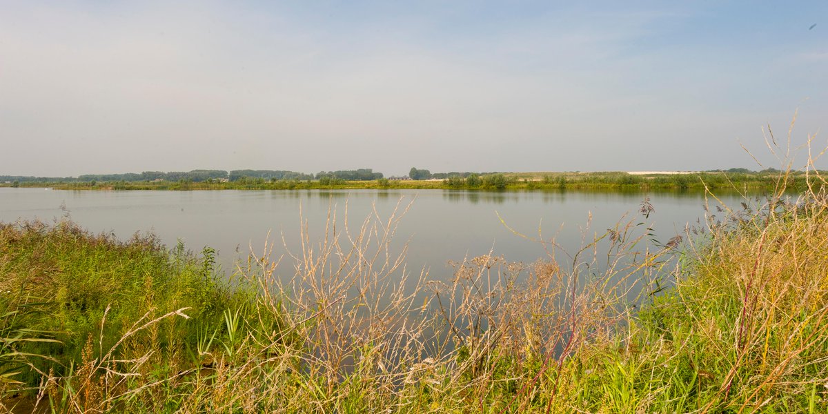 Het Programma Aanpak Stikstof (PAS) is naar de prullenbak verwezen. De vraag is nu: hoe verder? Manager Milieu en Omgevingskwaliteit Martijn van Gelderen vertelt wat we kunnen doen: bit.ly/2K0EKZc #stikstof