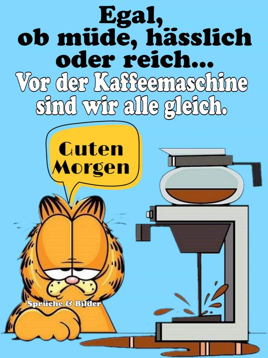 Christiane on X: @kambambum Guten Morgen. 🍀🤗. Lasst die Woche ruhig  starten . t.coEhG6RvjROe  X