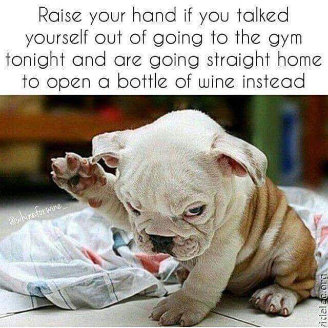 winewankers's tweet photo. Feeling guilty? #wine https://t.co/G1PFgnOKyE