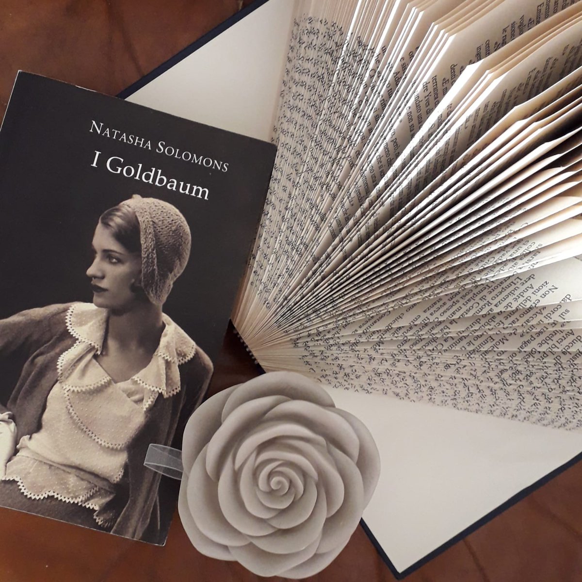 Beinam's tweet photo. Pice legge - I Goldbaum di Natasha Solomons https://t.co/oIwXdIEa2l https://t.co/art7ISlVCp