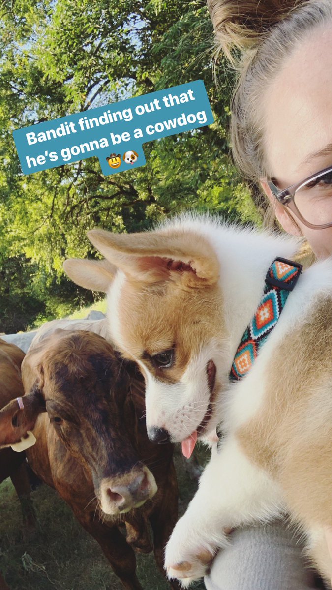 Chyanne Lynn🌵 tweet media