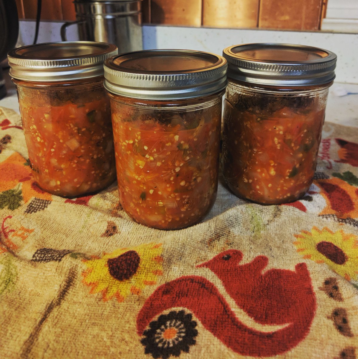 PaigeEtheridge1's tweet photo. Organic. Super Spicy. First time canning salsa. 🌶️🔥🌶️🔥🌶️ @OrganicValley
#salsa #redsalsa #tomatoes #peppers #hotpeppers #spicy #spicyfood #SundayBest #Salsasunday #SundayFunday #salsaroja #canning #DIY #jarring #jar #canningseason #hot #food #spice #hotfood #harvest https://t.co/AMiTB25zTz