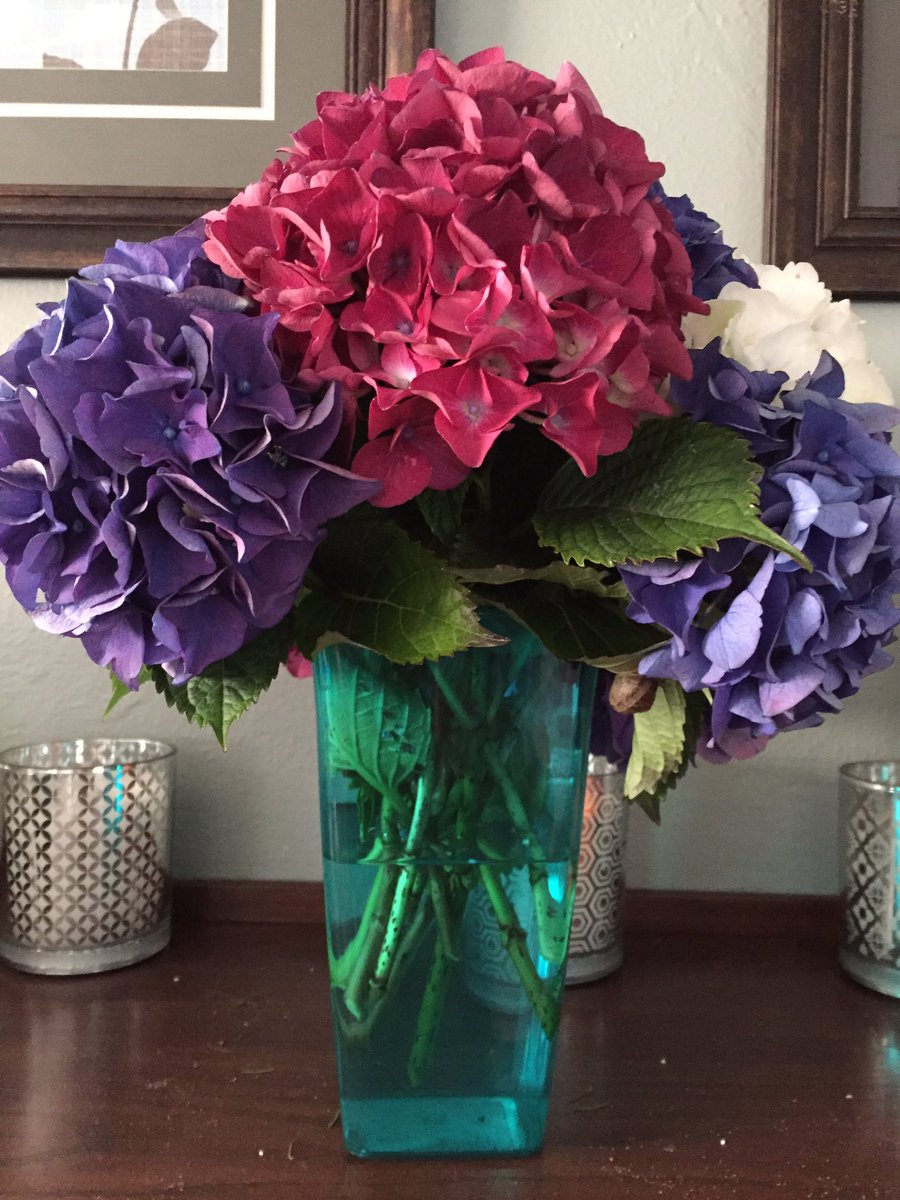 My nephews beautiful gift for National Aunt and Uncles day. Yep that’s a thing and it was Friday.