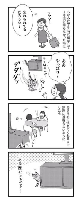 【猫のクリと情の話】（2/2）
猫は優しい…とても優しい… 