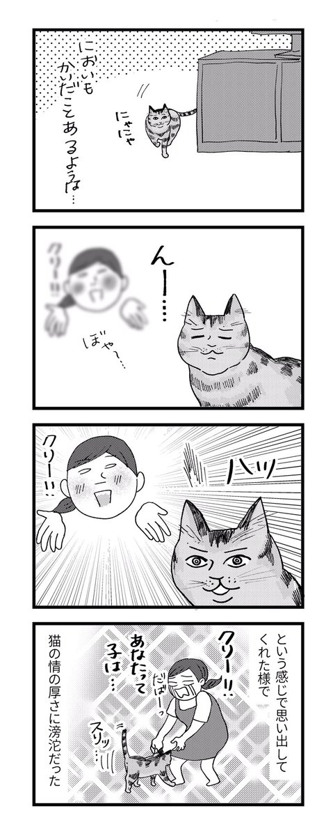 中島悠里 Cakes連載中 On Twitter 猫のクリと情の話 1 2 猫ってシャーッ て怒る以外にもこんな 怒ってます て怒り方出来るんだ と明後日の方向に感心した思い出 ごめんよクリ