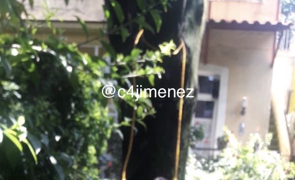 Carlos Jiménez tweet media