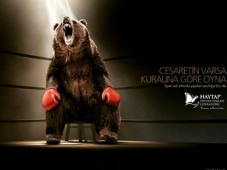 meteliksizz's tweet photo. @3uclu1shot @KahramanMemis @uzunkokcan https://t.co/nZnLeYpZUj