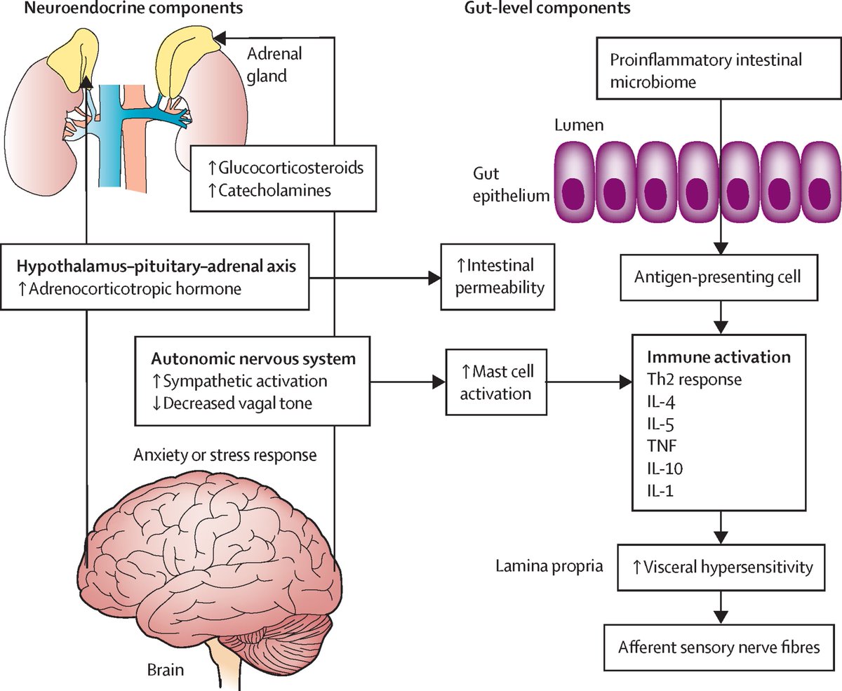 The Lancet Gastroenterology & Hepatology tweet media