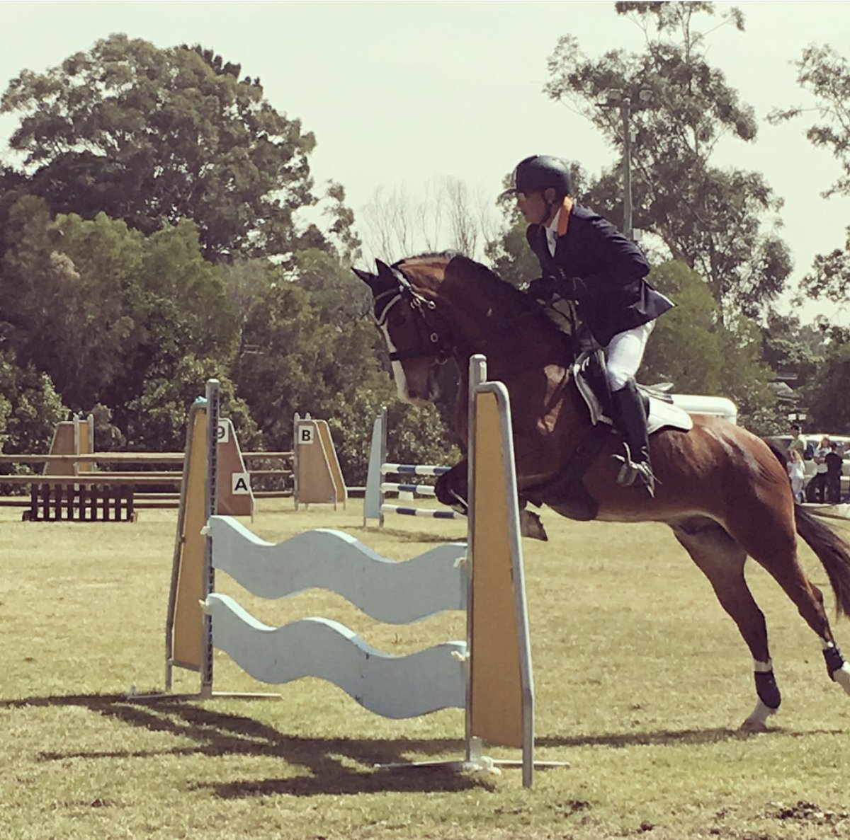 the_GC_Show's tweet photo. The excitement is building for this year's Show which will encompass the entire length of the Broadwater Parklands and will include a full Equestrian Program and Dog Show 🐎🐩

#GCShow #GoldCoastShow #WeAreGoldCoast #WeAreGC https://t.co/fVzKGoLvVR