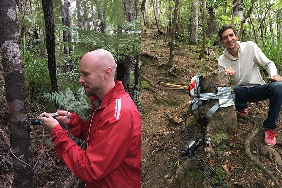 AUTuni's tweet photo. #AUTresearch by Associate Professor Sebastian Leuzinger &amp; Dr Martin Bader shows Kauri #trees share roots with other trees. 🌳🌲

The study could have implications for tackling disease killing kauri across the upper North Island.

Learn more on @nytimes ▪️ https://t.co/yhlDC5rAKu https://t.co/dNRxdtQCWC