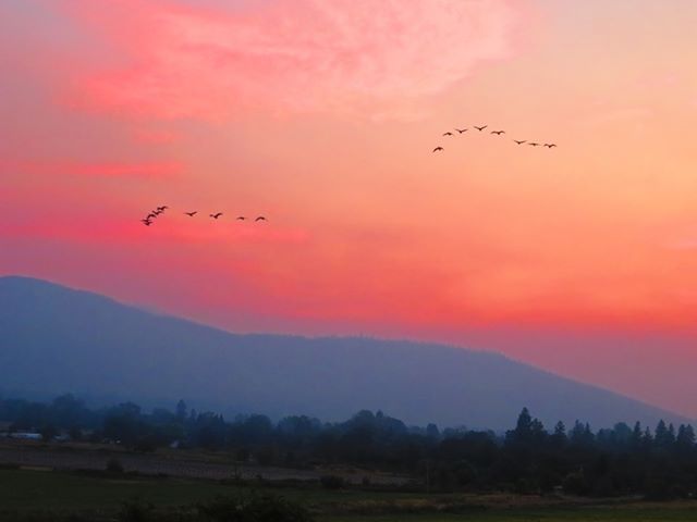 AutumnRobWx's tweet image. Thankful for the viewers who find the beauty in the smoke. 

📸: Mike Lemieux, Emigrant Lake, Oregon 

#MP97Fire