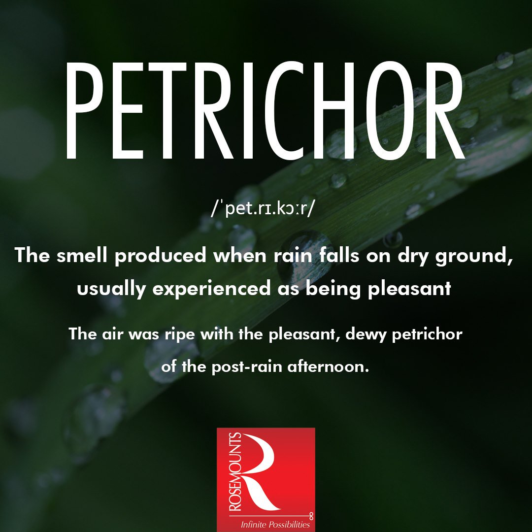 RosemountIndia's tweet image. The monsoon-related Word of the Day is &quot;Petrichor&quot;

#LearnEnglish #DifficultWords