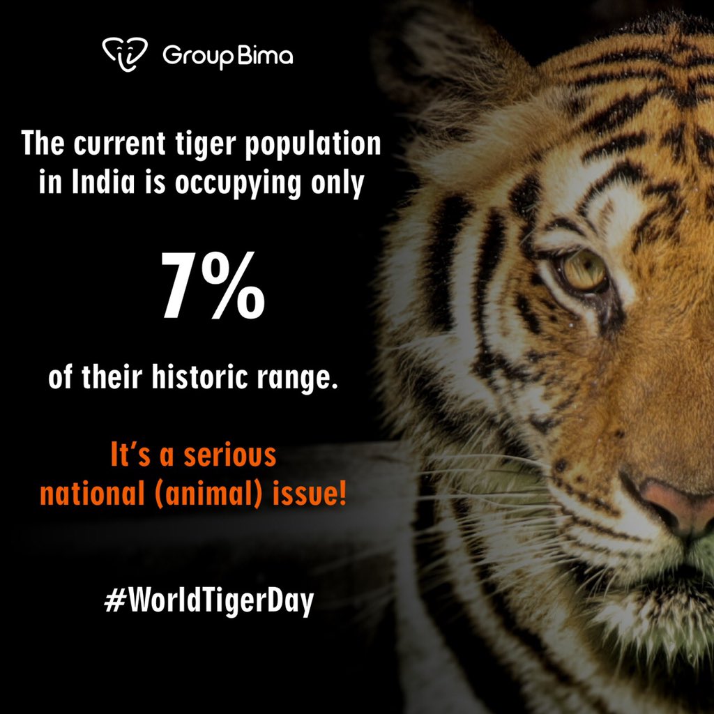 GrpBima's tweet photo. “Their survival is in our hands.” This #WorldTigerDay let’s stand together to save our National animal from endangerment. 
#SaveTiger #InternationalTigerDay #tiger #NationalAnimal #GroupBima https://t.co/UX39GF253o