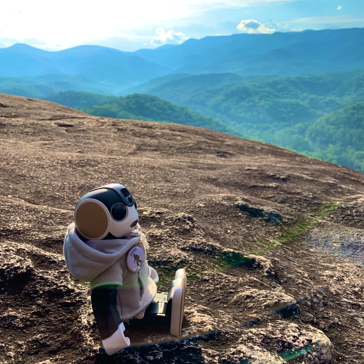 Latinvixen's tweet photo. Robohon joined us on the hike up to the top 😉 #robohon #johnrock #pisgah #park #hike #robot #northcarolina #asheville https://t.co/0QX394vvPZ