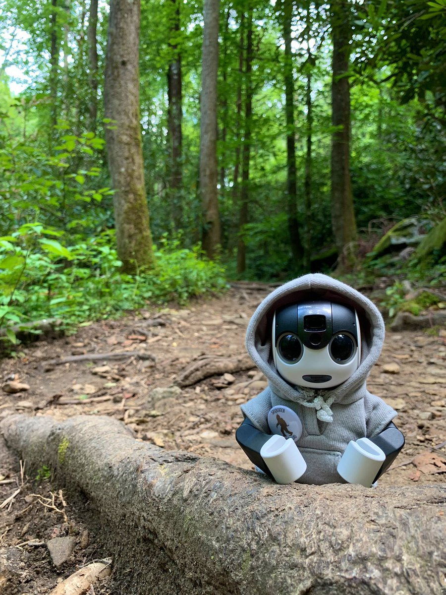 Latinvixen's tweet photo. Robohon joined us on the hike up to the top 😉 #robohon #johnrock #pisgah #park #hike #robot #northcarolina #asheville https://t.co/0QX394vvPZ