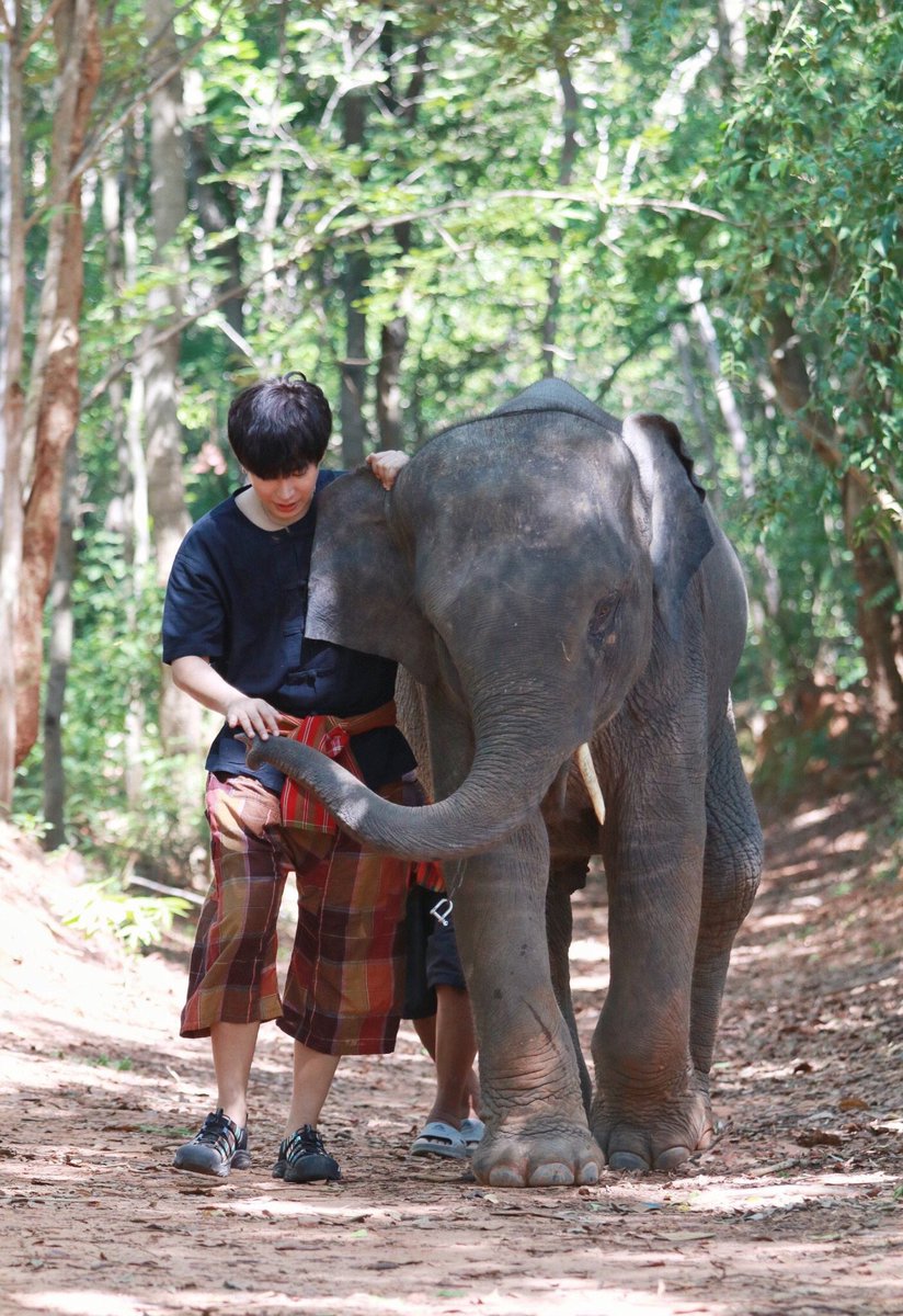 Nafonaja's tweet photo. อิจฉาหมาที่เธอเล่น..
อิจฉาเต่าที่เธอจูบ..
อิจฉาควายที่เธอลูบ..
อิจฉาช้างที่เธอโอบ..

อิสสาาาาา!!!! 😩😩😩😩😩 #เป๊กผลิตโชค #PeckPalitchoke https://t.co/C5ZvmSLLce
