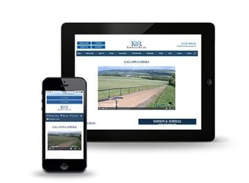 agricamera's tweet photo. #EquineHour If you would like more information, check out https://t.co/dyimXohiKG #HorseRacing #HorseTraining #Eventing So many applications, One 'Brilliantly Simple' AgriCamera solution. 🐎🐎🐎 https://t.co/xrE7q4B5Bh