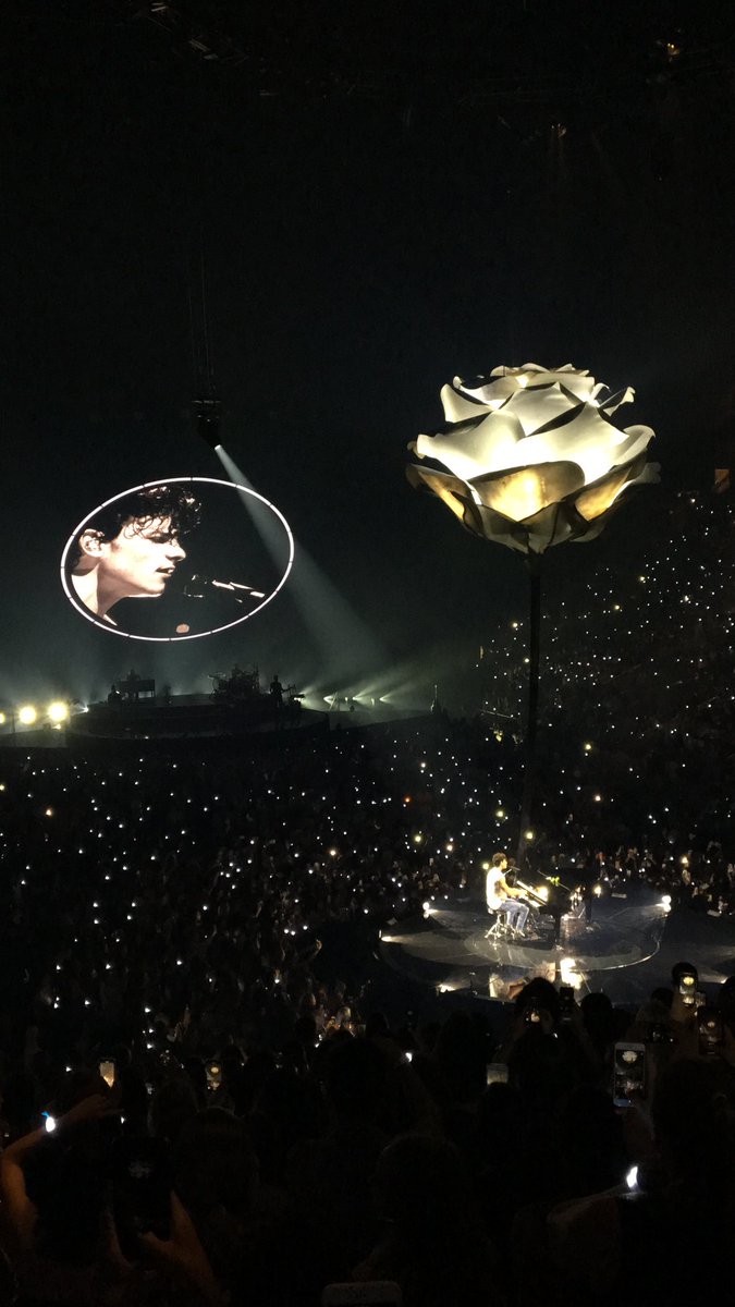 Kkimatron's tweet photo. #ShawnMendesTheTourMiami https://t.co/1CNysnTrOW