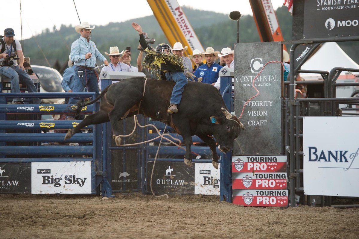 Bull Stock Media tweet media