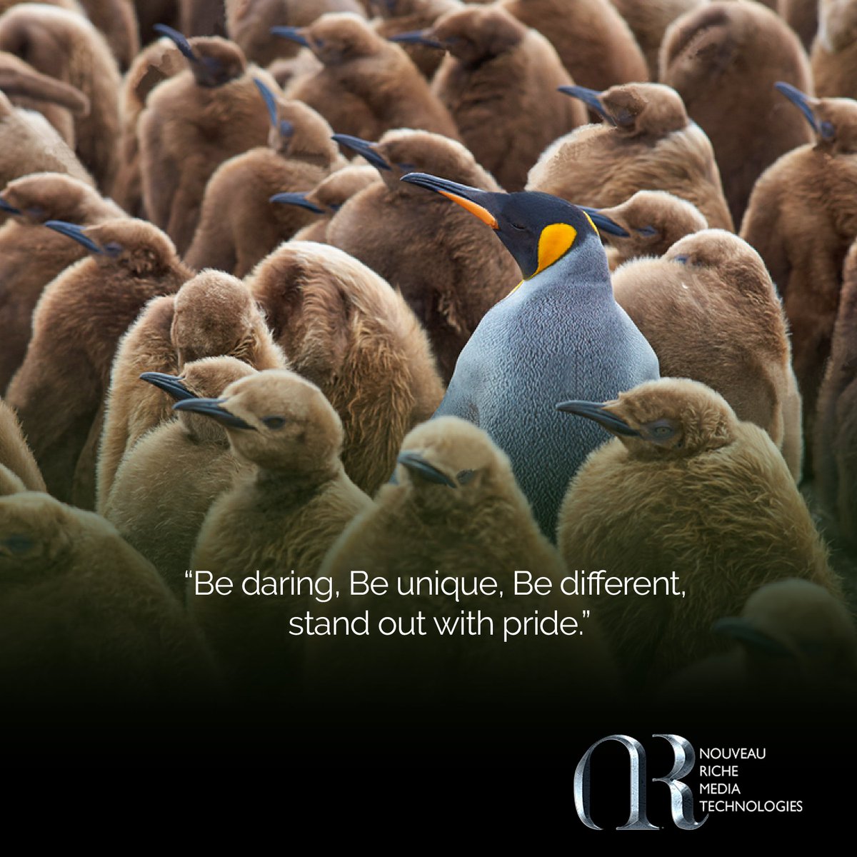 nouveaurichetec's tweet image. #NRMT #MondayMotivation  #techandbusiness #DigitalMarketing #bedifferent #webdevelopment #SoftwareDeveloper