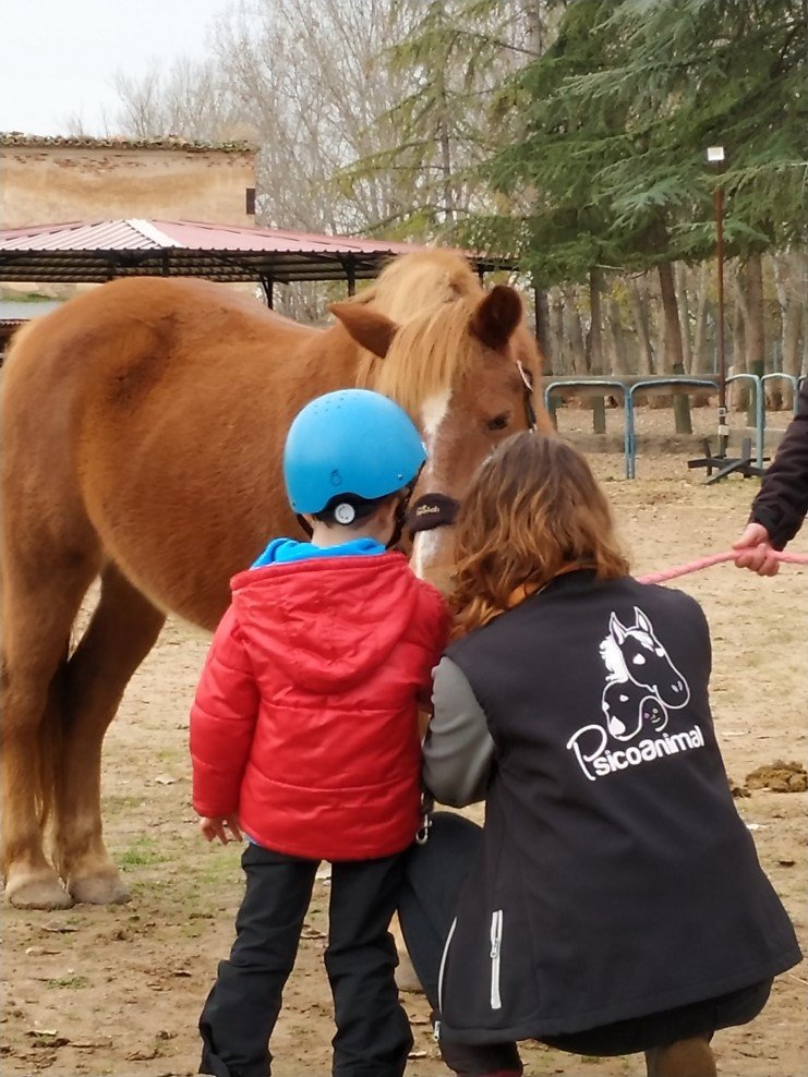FPDEcuestre's tweet image. #Collaborations2019. @FPDEcuestre donates equestrian equipment to @PsicoTAA for its #EquineAssistedInterventions program.
They have a multidisciplinary team that attends to a numerous &amp;amp; varied profile of beneficiaries. Results can be seen in images like these. Outstanding work!