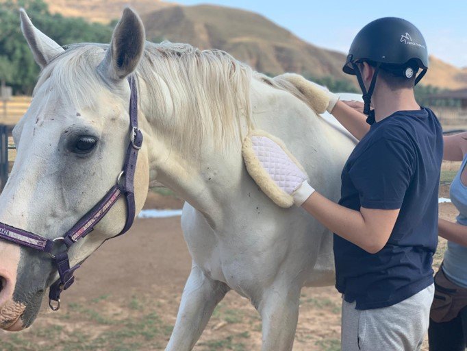 FPDEcuestre's tweet image. #Collaborations2019. @FPDEcuestre donates equestrian equipment to @PsicoTAA for its #EquineAssistedInterventions program.
They have a multidisciplinary team that attends to a numerous &amp;amp; varied profile of beneficiaries. Results can be seen in images like these. Outstanding work!