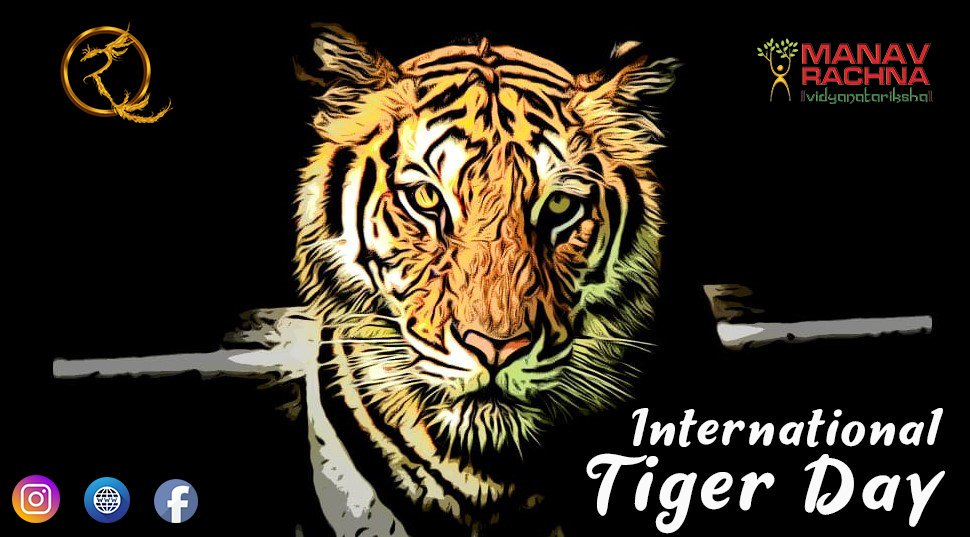 ResurrectionMR's tweet photo. Will the roar of the tiger fall silent or will we be able to come together to save this magnificent beast?
Let's come together to SAVE OUR TIGERS!
#Resurrection2K19 #mrresurrects
#manavrachna #resurrectionmr #reborn #resurrection #savetigers #saveourtigers #internationaltigerday https://t.co/XVd3T1O7dQ