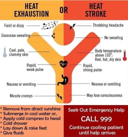 medlinkteam's tweet photo. Infographics like this can save lives while the weather is so hot!
#HowToHumpday https://t.co/kkZET9iyJR