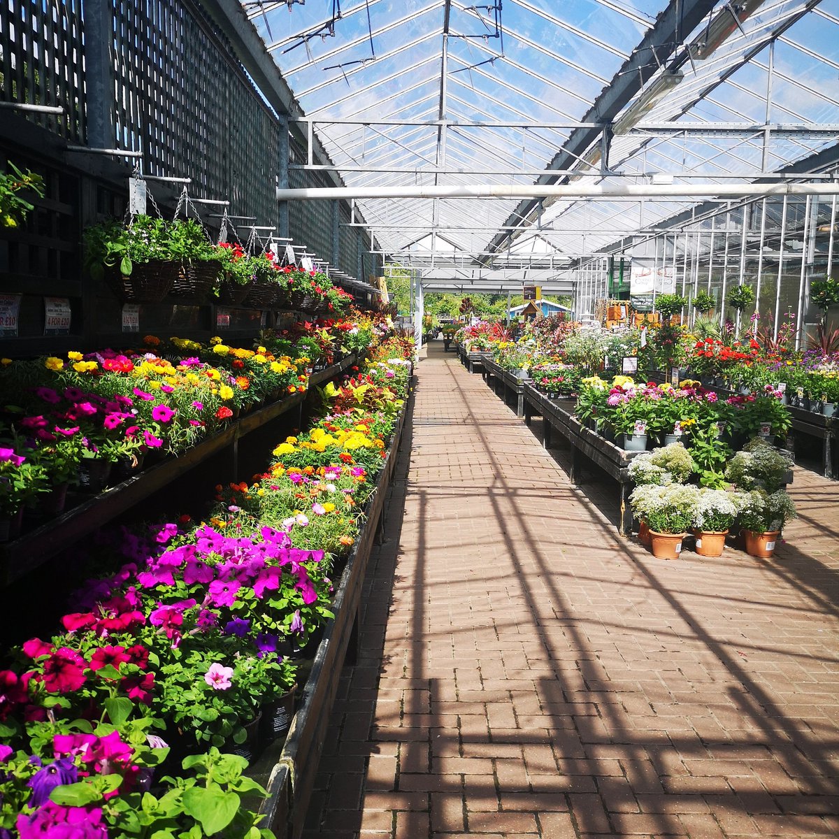 A beautiful (and thankfully cooler!!) day here at FGC😌