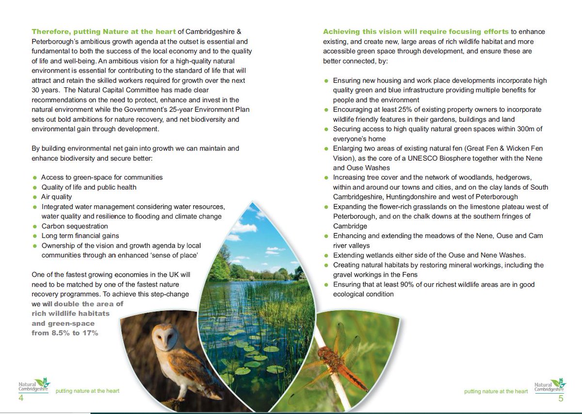 Athene Comms tweet media