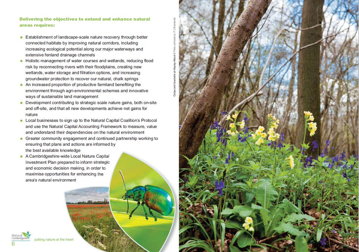 We’re delighted to be closely associated with today’s launch of <a href="/NaturalCambs/">NaturalCambs</a> Doubling Nature ambition. Our managing director, Richard Astle, is chair of Natural Cambridgeshire and our commitment to the environment is part of Athene’s core values. ow.ly/YEXY50veUYX