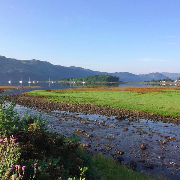 Cindie_Reiter's tweet photo. Not long back from my morning walk, it’s a gorgeous day out there #highlandsummer #blueskyandsea #nofilter #nomidges #morningwalk #itsgoingtobehot #scotland #scottishhighlands #nc500 https://t.co/KyL1PZ0PXI