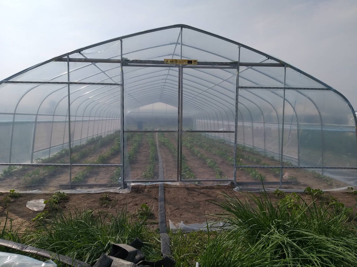 altanchimeg (@altanch02869096) on Twitter photo 